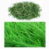 Organic Natural Pure Lespedeza Cuneata Extract Powder -10.58 Ounce (300g) view 2