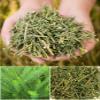 Organic Natural Pure Lespedeza Cuneata Extract Powder -10.58 Ounce (300g) view 3