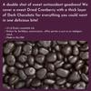 WinCrest Dark Chocolate Covered Cranberries (1.5 Lb Tub) view 2