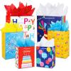 Birthday Gift Bag with Handle and Tissue Paper, 12 Pcs Gift Bags Assorted Sizes and Designs, Large, Medium, Small Size Birthday Gift Bag for Boys, Girls, 13, 9 ) view 1