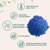 Organic Blue Spirulina Powder (Phycocyanin Extract), 60 Servings - No Fishy Smell, 100% Vegan Protein from Blue-Green Algae, Natural Luminous Food Coloring for Smoothies, Baking, Drinks & Cooking view 3