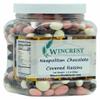 Neapolitan Chocolate Covered Raisins || 1.5 Lb Tub || Dark, Milk, Vanilla & Strawberry Coated view 1