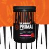 Animal Primal Muscle Hydration + Preworkout Powder  Contains Beta Alanine, 3DPump, Caffeine & Electrolytes  Improves Energy, Focus, Endurance & Absorption  Strawberry Watermelon Flavor, 17.9 oz view 2