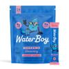 Waterboy Weekend Recovery | 3,200mg Electrolyte Powder Packets | Ginger + L-Theanine + Vitamins | No Sugar, All Natural, Gluten Free | 24 Drink Stick Mixes (Strawberry Lemonade) view 1