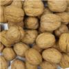 Smarty Stop Raw Walnuts in Shell (10 Pound (Pack of 1)) view 2
