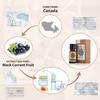 AKARZ Black Currant Essential Oil Natural Organic Pure Black Currant Oil for Skin Body Hair Care,Diffuser, Candle,Soap,Making, DIY,Massage Aroma 0.34 Fl Oz (10ml) view 2
