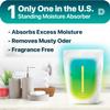 Dry & Dry 10 Pack Standing Moisture Absorbers for Basements, Closets, Bathrooms & Laundry Rooms view 3