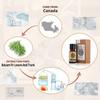 AKARZ Balsam Fir Essential Oil Natural Organic Balsam Fir Oil for Skin Body Hair Care, Candle,Soap,Making, DIY,Massage Aroma 0.34 Fl Oz (10ml) view 2