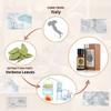 AKARZ Laurel Essential Oil Natural Organic Pure Premium Therapeutic Laurel Oil for Skin Body Hair Care,Diffuser, Candle,Soap,Making, DIY,Massage Aroma 0.34 Fl Oz (10ml) view 2