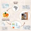 AKARZ Tangerine Essential Oil Natural Organic Pure Premium Therapeutic Tangerine Oil for Skin Body Hair Care,Diffuser, Candle,Soap,Making, DIY,Massage Aroma 0.34 Fl Oz (10ml) view 2