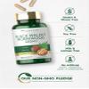 Carlyle Wormwood Black Walnut | 120 Capsules | Herbal Complex | Non-GMO, Gluten Free view 4