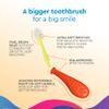 Radius Big Kidz Forever Brush with Replaceable Head Toothbrush for Children, 6 Years and Up, BPA Free ADA Accepted for Growing Teeth and Gums - Right and Left Handed, Extra Soft view 3