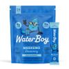 Waterboy Weekend Recovery | 3,200mg Electrolyte Powder Packets | Ginger + L-Theanine + Vitamins | No Sugar, All Natural, Gluten Free | 24 Drink Stick Mixes (Blue Raspberry) view 1
