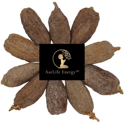 AseLife Energy GIANT Alligator Pepper Pods 5 Count