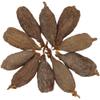AseLife Energy GIANT Alligator Pepper Pods 5 Count view 4