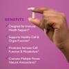 ImmunoSEB 60 Vegetarian Capsules - Immune Health  Systemic Enzymes view 4