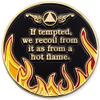 1 to 40 Year Twisted Flames Sobriety Coin - Gold Plated AA Chips & Medallions - 29 Year Sobriety Coin - Black/Red/Orange/Yellow view 2