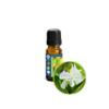 10ml (1/3oz) White Ginger Lily (Hedychium Coronarium) Absolute Essential Oil view 1