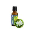 30ml (1oz) White Ginger Lily (Hedychium Coronarium) Absolute Essential Oil view 1