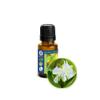 15ml (1/6oz) White Ginger Lily (Hedychium Coronarium) Absolute Essential Oil view 1