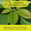 5.2oz Dried Avocado Leaves, Leaf Tea, Hojas De Aguacate Secas, 100% Natural Avocado Leaves, Non-GMO, Caffeine free, Vegan. by Akshit view 4
