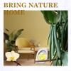 Air Freshener for Home, 4 Pack, Vanilla, Odor Eliminator for Small Area Closets Bathroom Pets Strong Odor, Up to 120 Days view 2
