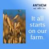 Anthem Vanilla Chai Instant Oatmeal- Delicious Whole Grain Oats for a Cozy Breakfast - Enjoy Protein Oatmeal Anytime with Quick & Easy Preparation - Oatmeals Packed with Fiber for a Healthy Diet view 4