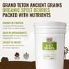 Grand Teton Ancient Grains - 100% Organic Spelt Berries, US-Grown Farro Organic Grain Spelt in 6 Gallon Super Pail for Long-Term Storage, 43 lbs view 2