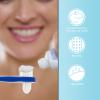 Beavorty 2pcs Two-Sided Brush Cleaning Brush Toothes Tooth for False False Cleaning Tablets Set Both Sides Travel view 4
