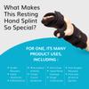 BraceAbility Soft Resting Hand Splint - Stroke Brace Right or Left Hand Immobilizer for Finger Contractures, Post-Surgery Recovery, Carpal Tunnel Syndrome, Ulnar Nerve Damage Relief (XL - Right) view 4