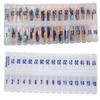 31 Day Once-a Day Monthly Pill Planner Organizer w/Removable Lid for Easy Loading - Large Compartment Pill Box Stores Medications for Entire Month (Clear - 2 Pack) view 1