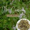 Abre Camino (Road Opener) Dried Herb for Prosperity and Spiritual Cleansing use in Money Spells traditional Voodoo - Hoodoo - Santeria view 2