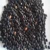 Dinea Healthy Black Horse Gram | Kaala Kulthi Dal (Kulatha) | Karuppu Kollu Paruppu (900g) view 2