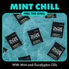 DUDE Wipes On-The-Go Mint Chill Travel Wipes - 2 Pack, 60 Count (Individually Wrapped) - Extra-Large Cleansing Flushable Wipes - Infused with Tea Tree Oil, Eucalyptus, and Aloe - Septic and Sewer Safe view 4