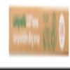 Compostic Compostable Cling Wrap 150 Square Feet, 150 Sqft view 1