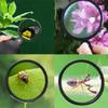 1pcs 10x Pocket Magnifying Glass, Hand Folding Magnifying Glass with Leather Case, Professional Portable Magnifying Glass Pocket Size for Reading Books, Jewelers, Plants, Sewing (Black) view 4