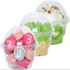 botogift 5 oz Clear Plastic Dessert Cups with Dome Lids (25Sets) - Disposable Snack Bowls (No Hole) for Cereal Parfait, Yogurt, Cupcakes, Pudding, Jello and Individual Desserts at Party view 1