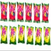 Assorted Holiday Big Foot, The Giant Cheese Snack, 6 Regular and 6 Spicy, 10.5 Oz, Pack of 12 view 3