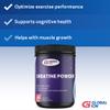 Global Ion Creatine Powder view 3