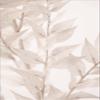 Dried Straws 3 by 1X Studio III Laminated Art Print, 8 x 12 inches view 1