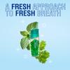 Beyond Breath Breath Freshening Capsules, Fresher Breath From Inside-Out, Even Works On Bad Breath From Garlic, Lasts Up To 8 Hours, 50 Capsules view 3
