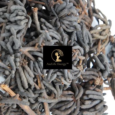 AseLife Energy Selim Pepper Pods 2 OZ Grains of Selim Uda Pepper Hwentia Negro Pepper Slim Pepper Peppercorns Pepper Pods African Pepper
