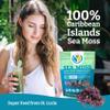 YEMAYA THE NATURAL WAY Yemay Organic Dried Sea Moss, Organic Sea Moss Supplement, Raw Sea Moss Wildcrafted to Elevate Immunity | Digestion & More, Gluten & Additive Free | Purple, 2.5 oz view 3