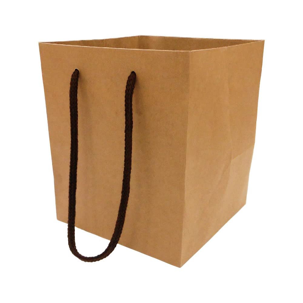 Ehime Paperwork Kraft Paper Bags, 10 Pack, Medium, Width 6.1 x Depth 6.1 x Height 7.1 inches (155 x 155 x 180 mm), TOC-M x 10P