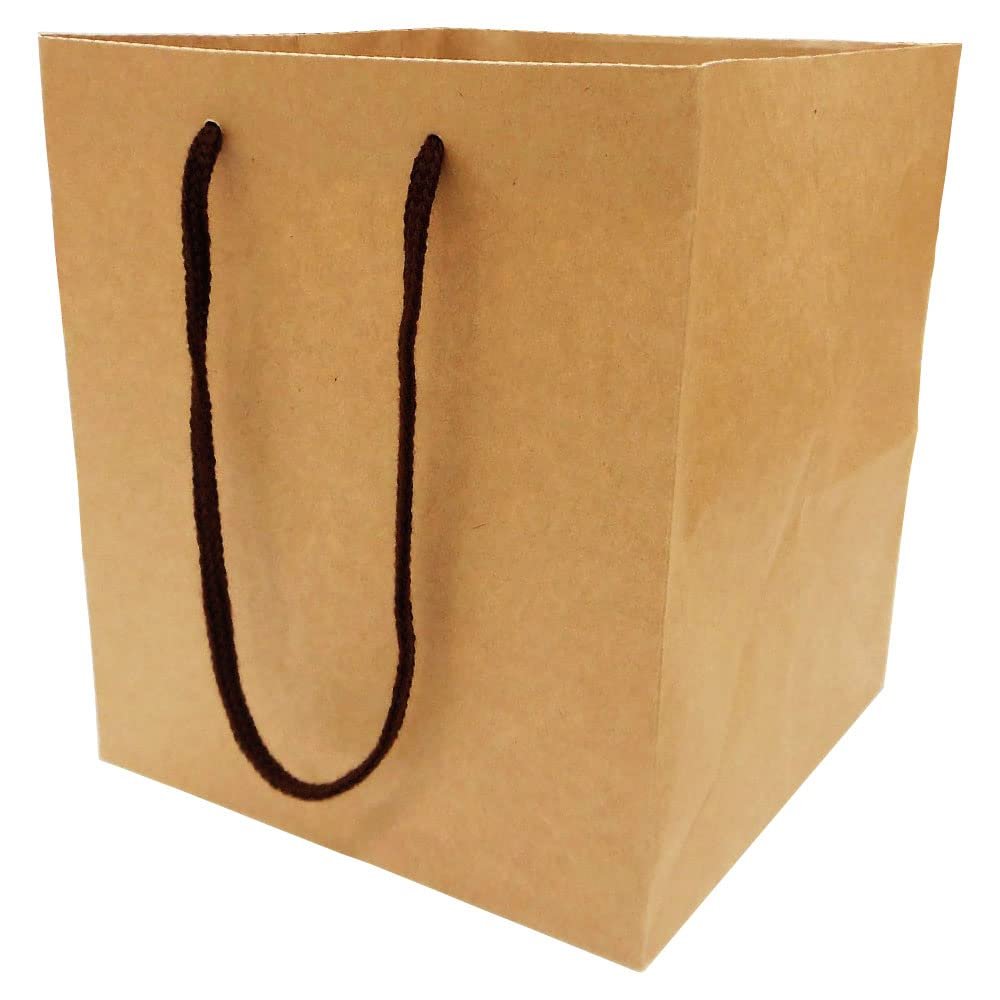  Ehime Shiko Takeaway Kraft Paper Bags, Pack of 10, L Size (W x D x H): 8.1 x 8.1 x 9.1 inches (205 x 205 x 230 mm), TOC-L x 10P