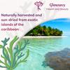 Organic Sea Moss - Wild Crafted from Caribbean Waters - 100% Organic, Raw, Non GMO, Vegan Irish Sea Moss - Clean & Sundried - Improve Skin Health, Increase Energy & Boost Immunity view 2