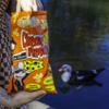 Elmer's Cheesy Popcorn, Cheesy Deliciousness, Popped in Coconut Oil, Gluten-Free, No MSG, 2.5 oz Bags, Pack of 3 view 3