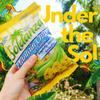 Soldanza Plantain Chips, Variety Pack 2.5 oz (Pack of 12) 4 x Salted Plantain Chips, 4 x Ripe Plantain Chips, 4 x Garlic Plantain Chips view 2