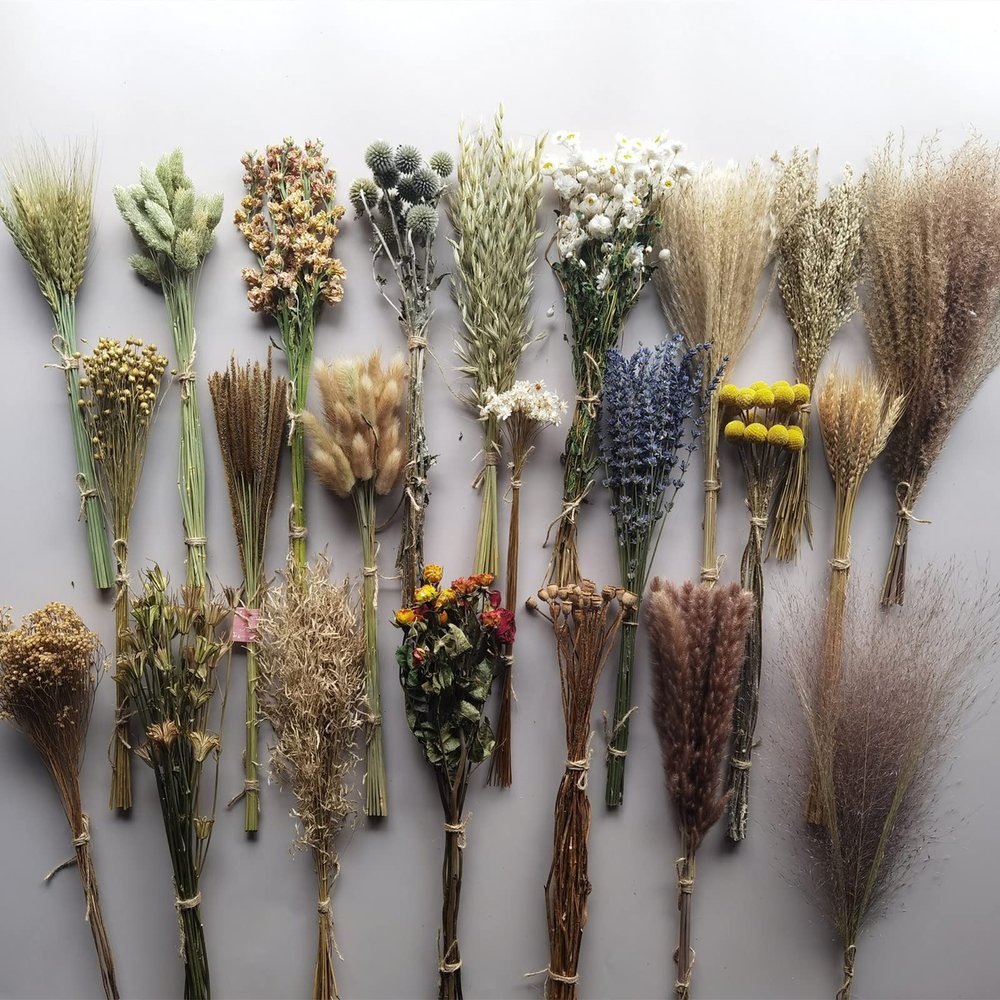 23 Kinds of 100% Natural Dried Flowers (K)