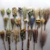 23 Kinds of 100% Natural Dried Flowers (K) view 1